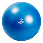 T9---Gym-Ball-65cm_1