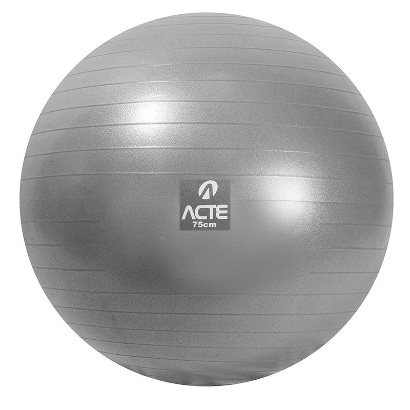 T9-75---Gym-Ball-75cm_1