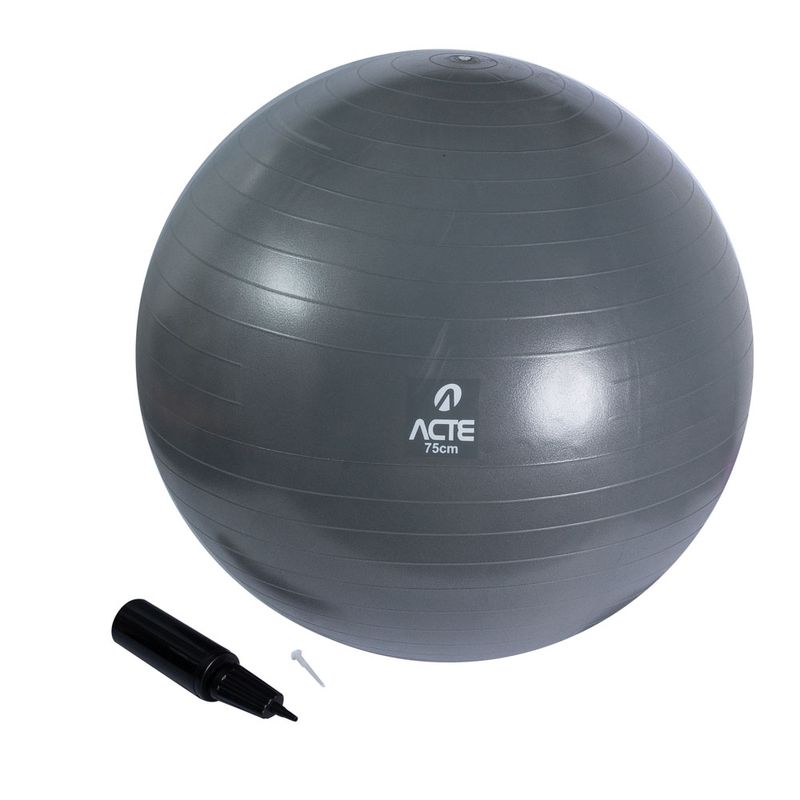 T9-75-Gym-Ball_02