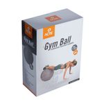T9-75-Gym-Ball_03
