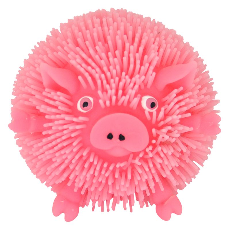 mania-flofys-dm-toys-bolota-bichos-dmt5716-sortido