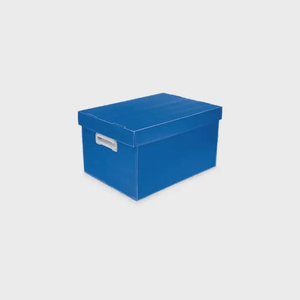 Caixa Organizadora Polibras The Best Box Pequena Azul