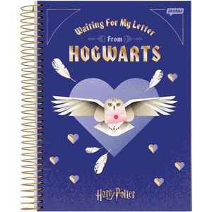 Caderno Espiral Universitário Jandaia Harry Potter Capa Dura - 300 Folhas