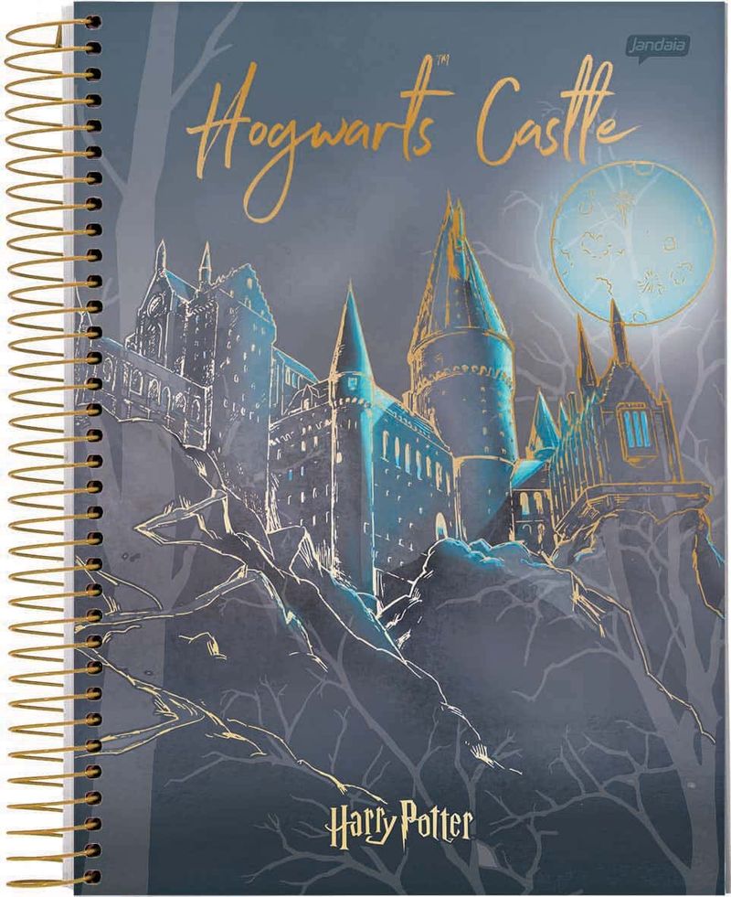 CAD_HARRY_POTTER_2023__1