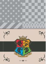 BOLSO_HARRY_POTTER_2023-01