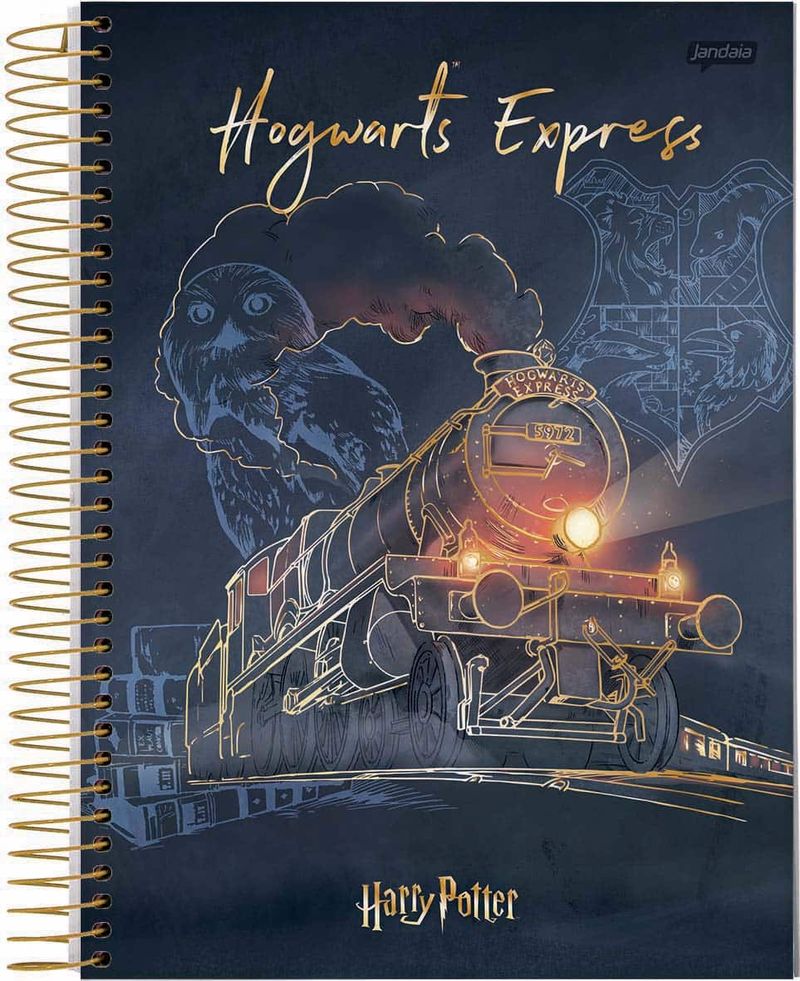 CAD_HARRY_POTTER_2023__2