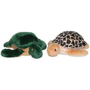 Tartaruga Lola Lovely Toys 30cm - Sortido