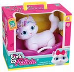 493---Gata-Felicia---Banho-Embalagem