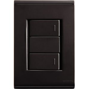 Conjunto Tramontina com 2 Interruptores Simples 10 A 250 V - Liz Grafite