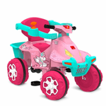 smart-quadriciclo-bandeirante-passeio-e-pedal-rosa-1