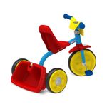 triciclo-bandeirante-bandy-com-carenagem-2