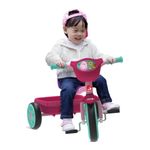 triciclo-bandeirante-bandy-com-cestinha-3