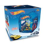 barraca-fun-infantil-hot-wheels-com-50-bolinhas