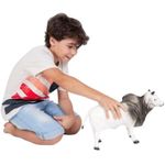boi-de-vinil-db-play-2