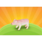 porco-de-vinil-db-play