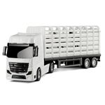 caminhao-roma-petroleum-individual-4