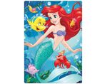 quebra-cabeca-jak-princesa-ariel-60-pecas-2