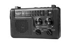 radio-portatil-mp3-hot-sat-telespark-black--1-