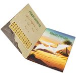 livro-todolivro-mundo-dos-minidinos-pterodactilo-4.jpg