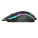combo-gamer-elg-4-em-1-canopus-cgcs41-6.jpg