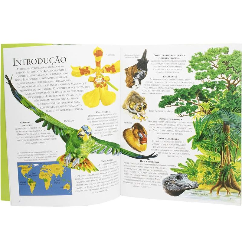 livro-todolivro-lar-dos-animais-florestas-tropicais-2