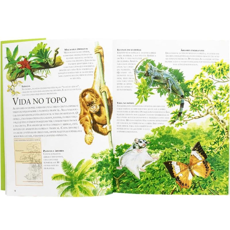 livro-todolivro-lar-dos-animais-florestas-tropicais-3