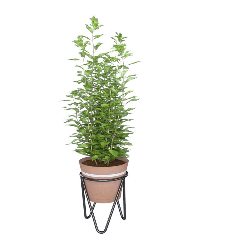 suporte-dicarlo-garden-para-vaso-de-chao-preto-16-x-20cm--1-