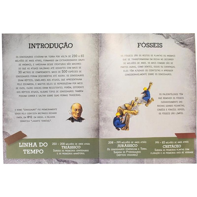 livro-todolivro-o-mundo-dos-dinossauros-anquilossauro-2