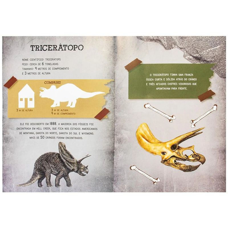 livro-todolivro-o-mundo-dos-dinossauros-triceratopo-3