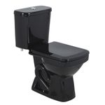 bacia-sanitaria-com-caixa-acoplada-fiori-lirio-preto--1-